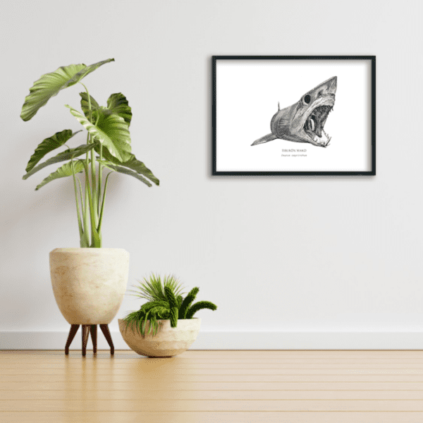 Print Tiburón Mako Living Room