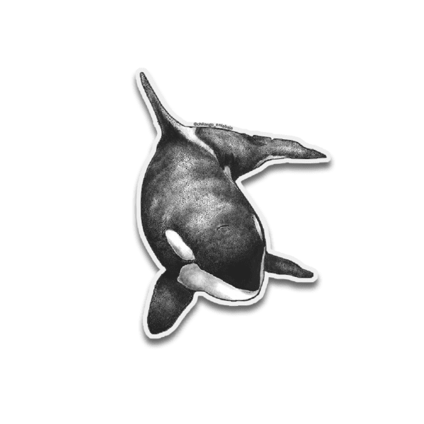 Sticker Orca