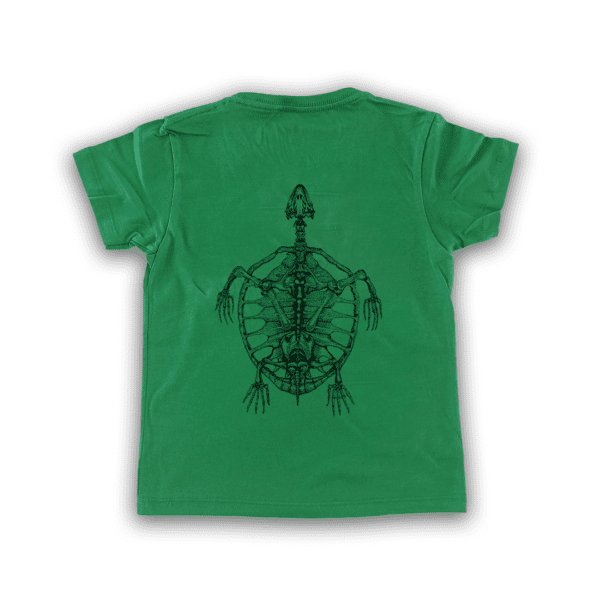 Playera Niño Esqueleto Tortuga