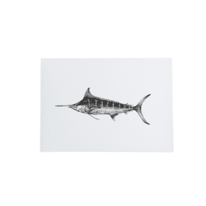 Canvas 20x25 cm - Marlin Azul