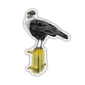 Sticker Caracara