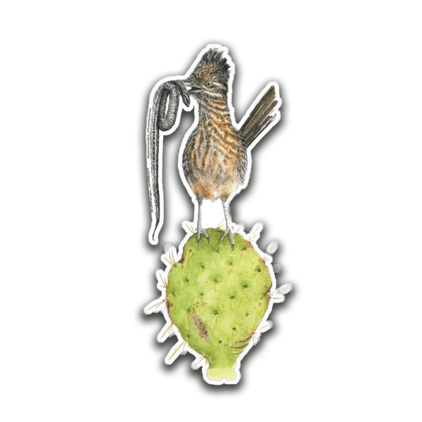 Sticker Corrcaminos