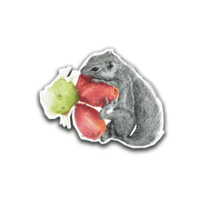 Sticker Juancito